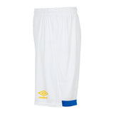 Kids Third Shorts 2024-25