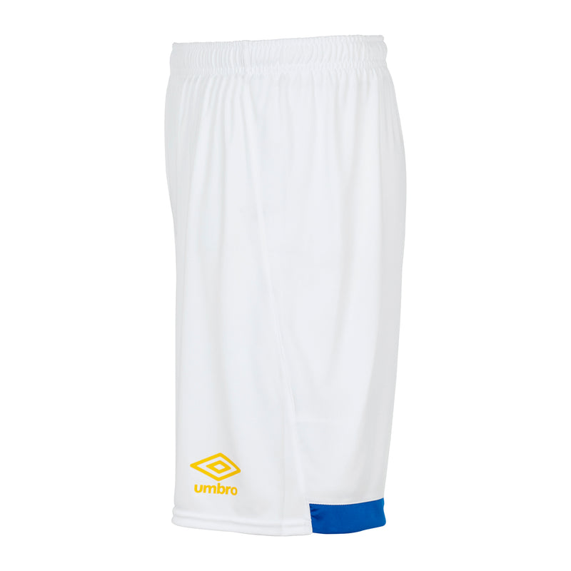 Adult Third Shorts 2024-25