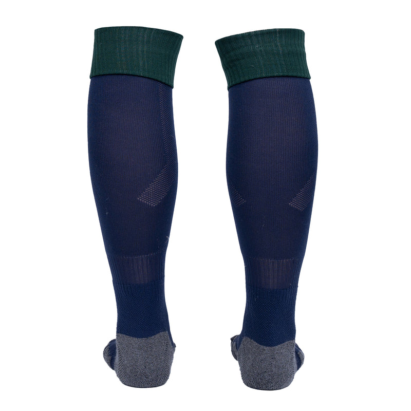 Adult GK Socks 2024-25 - Green