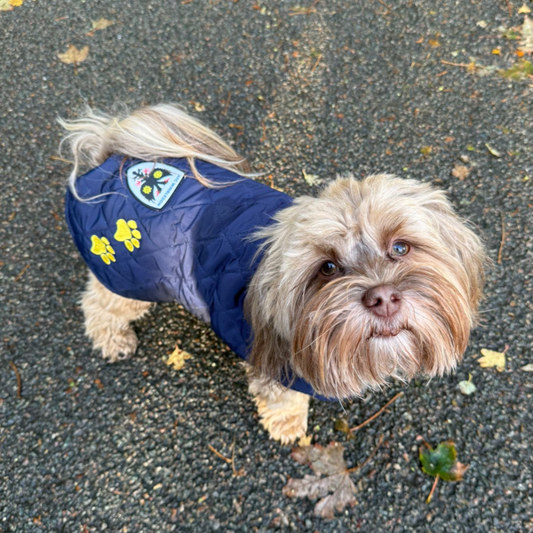 Bespoke Dog Coats