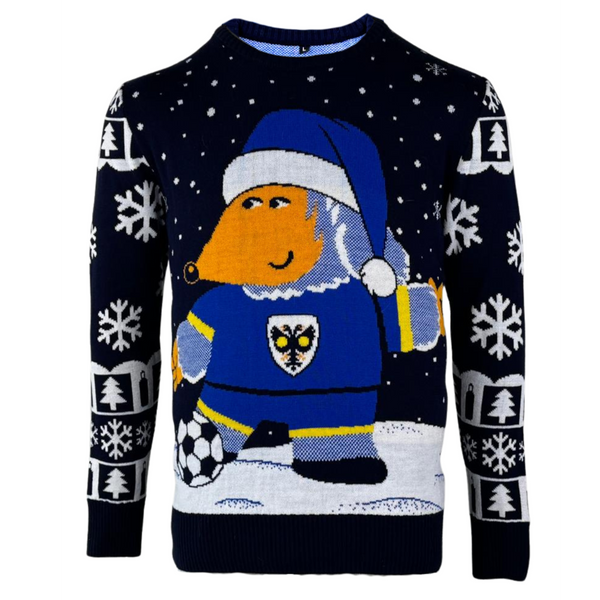 Eco-friendly Christmas Jumper